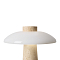 Настольная лампа Freya FR5482TL-L7BG